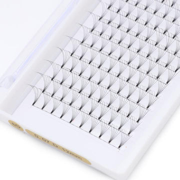 6D Short Stem Premade Fans Lashes Eyelash Extension Trays